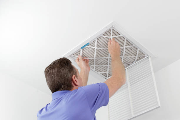 Best Air Duct Mold Removal  in West Burlington, IA